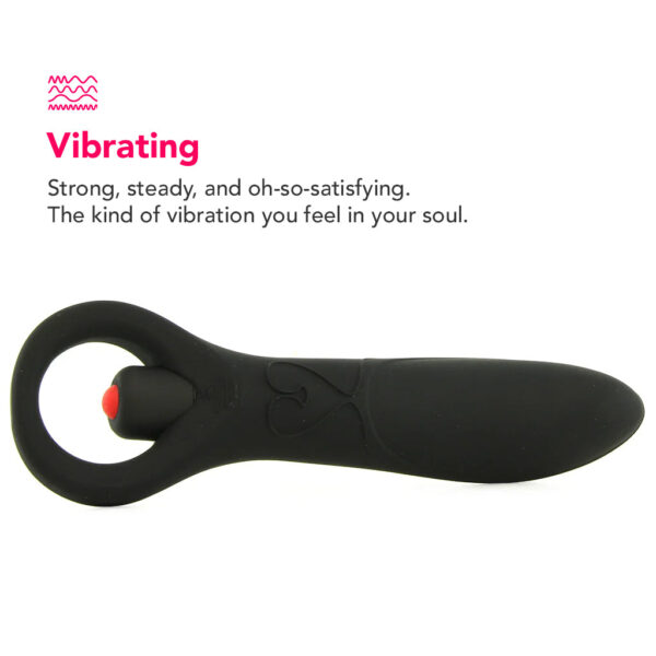 EVO-009889_3 Zero Tolerance Intro to Prostate Kit in Black