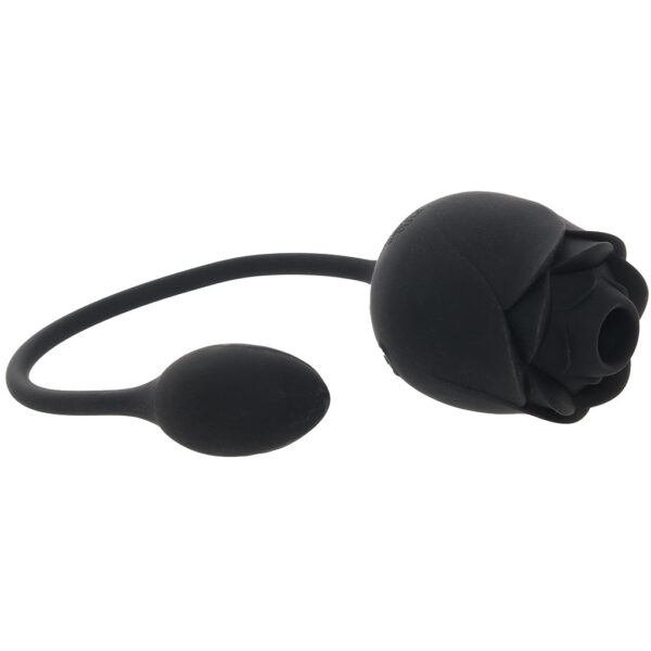 Dark Blushing Rose with Vibrating Egg