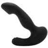 NASS-2880_2 Anal-Ese Rotating Prostate Massager