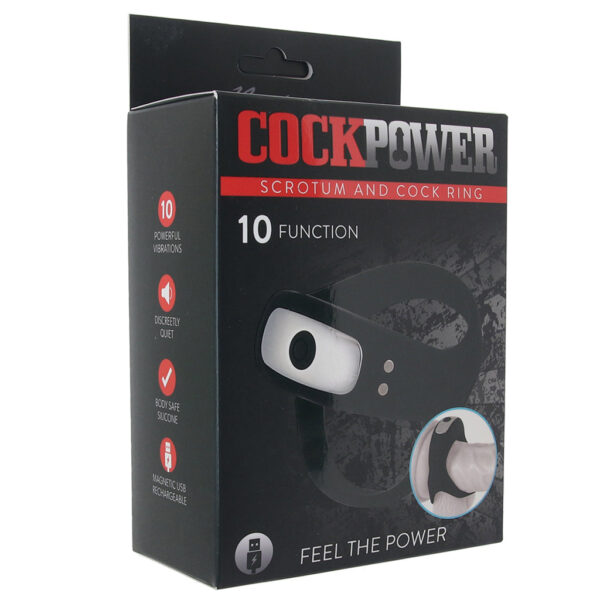 NASS-3170_6 Cockpower Scrotum And Cock Ring