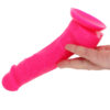 NSN-0405-14_4 Small Silicone Colours Dildo in Pink