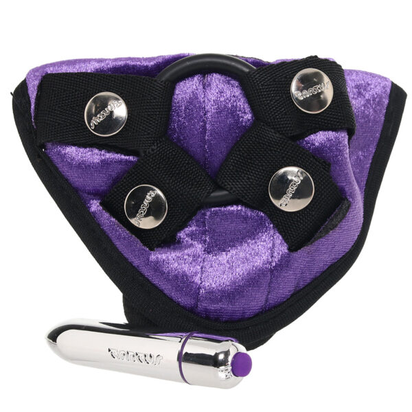 TT-008686_3 Velvet Vibrating Bullet Harness in Purple