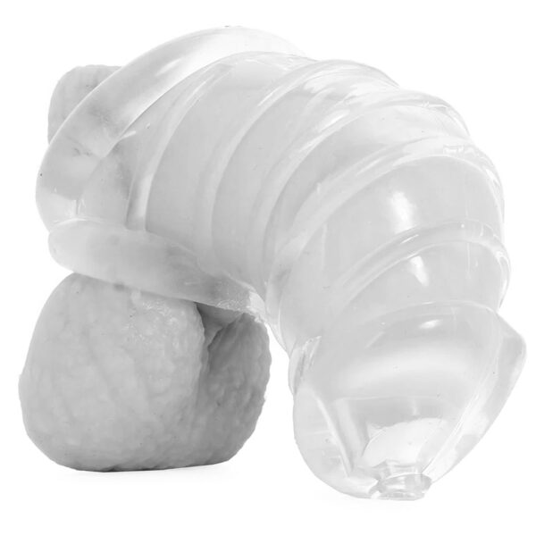 Detained Soft Body Chastity Cage