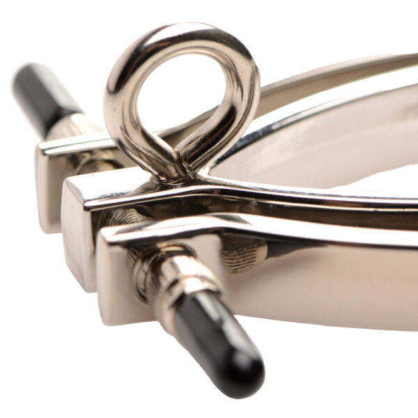 Master Series Pussy Tugger Pussy Clamp and Leash