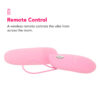 ZPC-000542_3 PinkCherry Silicone Remote Bullet Vibe