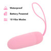 ZPC-000542_4 PinkCherry Silicone Remote Bullet Vibe