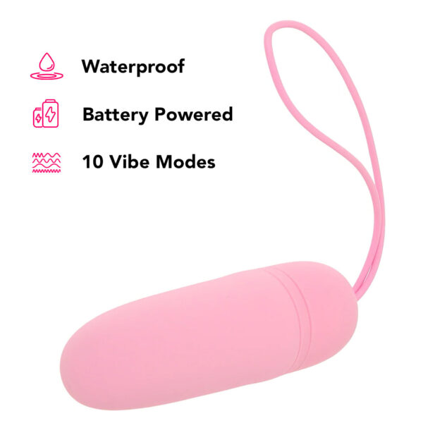 ZPC-000542_4 PinkCherry Silicone Remote Bullet Vibe