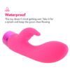 PinkCherry Right On Rabbit Silicone Dual Motor Vibe