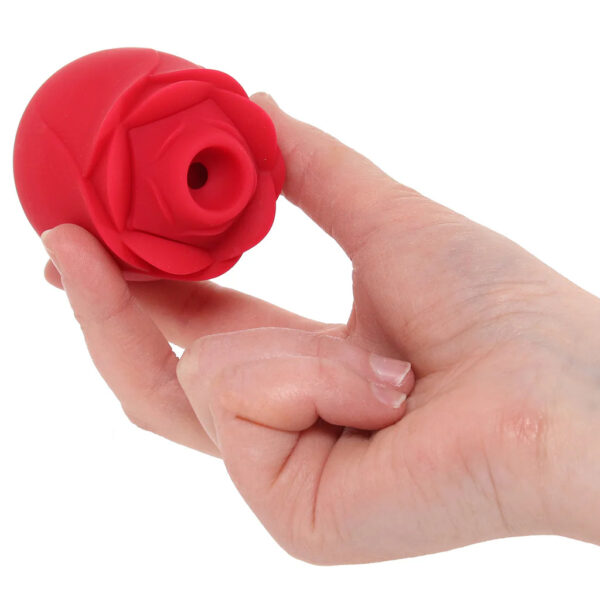 PinkCherry Rose Vibrator 2.0