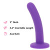 PinkCherry Premium 6 Inch Purple Silicone Slim Anal Dildo