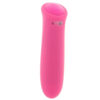 ZPC-017471_2 PinkCherry Pink Performer Bullet Vibe
