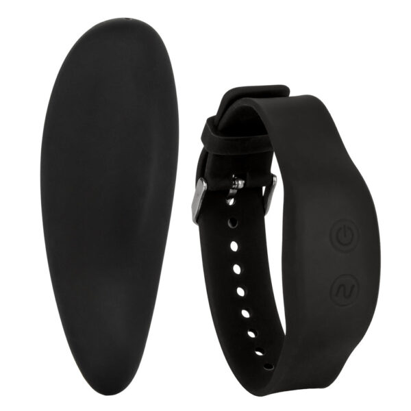 Remote Wearable Panty Vibe