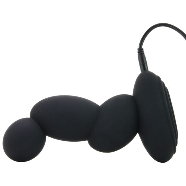ZZSIR-755503_3 Control Dual Motor Silicone P-Spot Massager